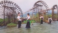 Về quê về với sông Mã anh hùng