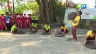 Chương Dương vào xuân