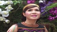 Mừng tuổi mẹ