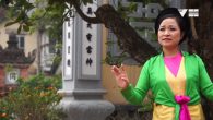 Hương lúa quê hương
