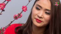 Rực rỡ sắc xuân