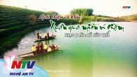 Xuân qua miền ví giặm